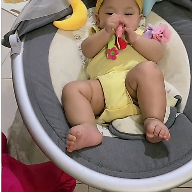 Bouncer Bayi Bouncer Baby Baby Swing Preloved Bekas