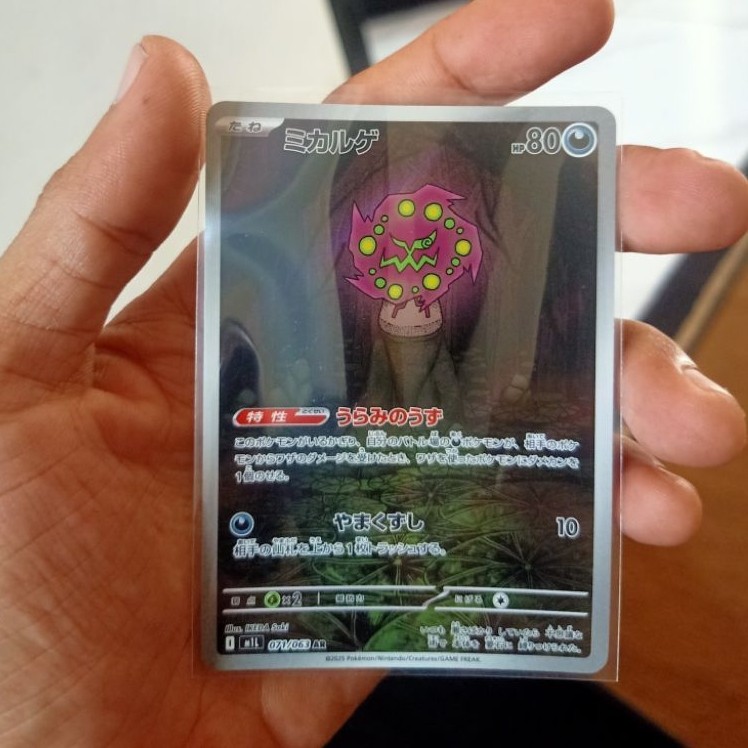 AR Sleeve Pokemon
