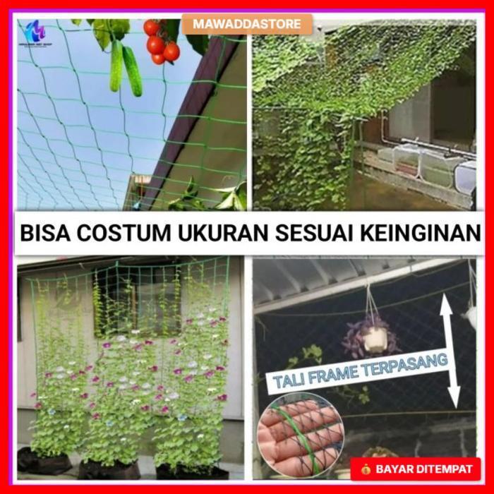 Jaring tanaman rambat buah/Jaring rambatan tanaman/Jaring tanaman merambat