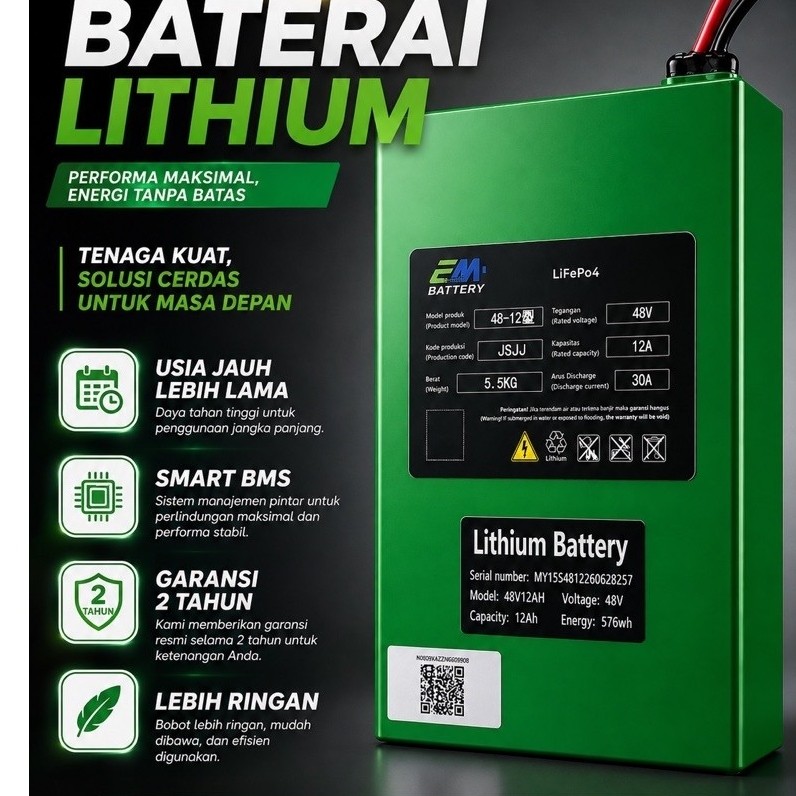 EM Battery Lithium LifePo4 48v12ah + Soket