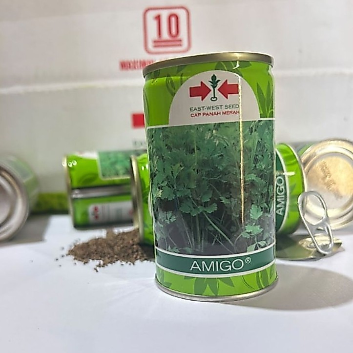 seledri Amigo kemasan kaleng / benih seledri Amigo 50gr / kemasan real kaleng 50gr