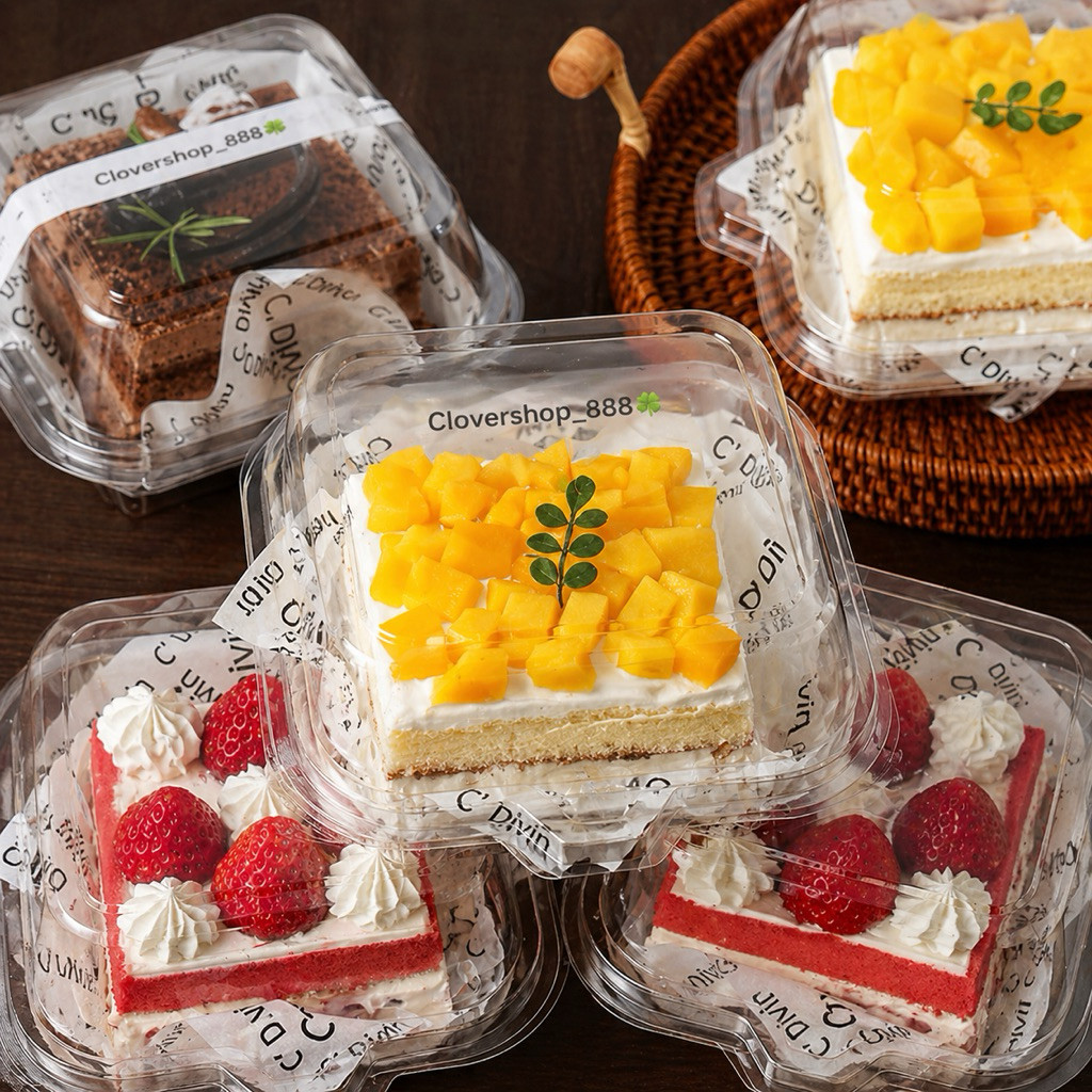 10pcs Mika Box Bento Korean Bento Mika Bento Bening Box Dessert Mika Bento Cake Kue Kotak Bento Tira