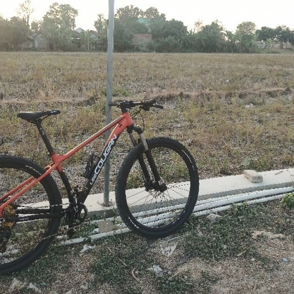 MTB 29ers rakitan frame lee cougan