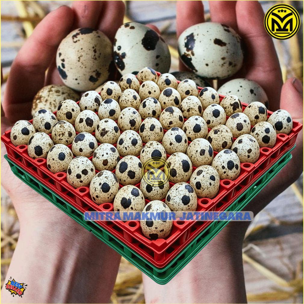 KRAT TELUR PUYUH PLASTIK ISI 90 TELUR TRAY EGG PUYUH KRAT PLASTIK TELOR PUYUH EGG TRAY MURAH