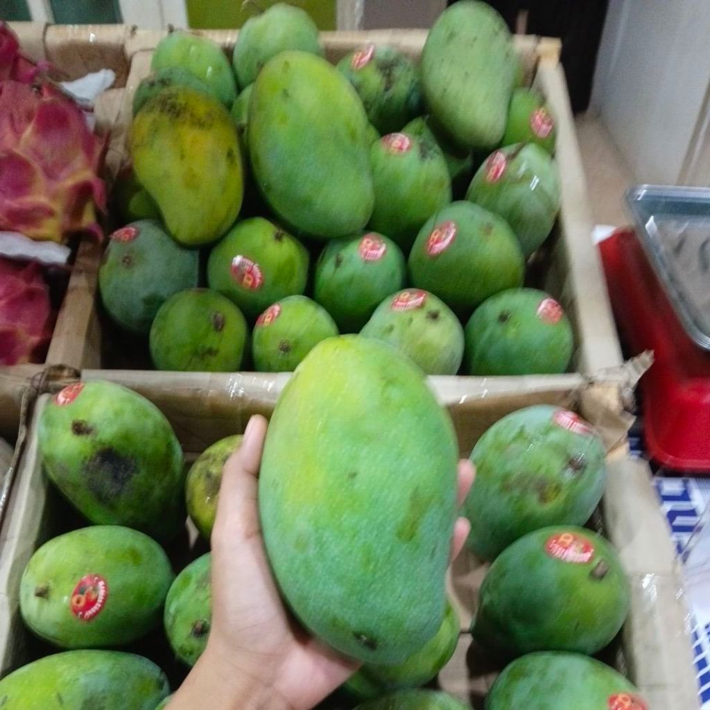Mangga Harum Manis Super 1 Kg Manis Pulen Segar