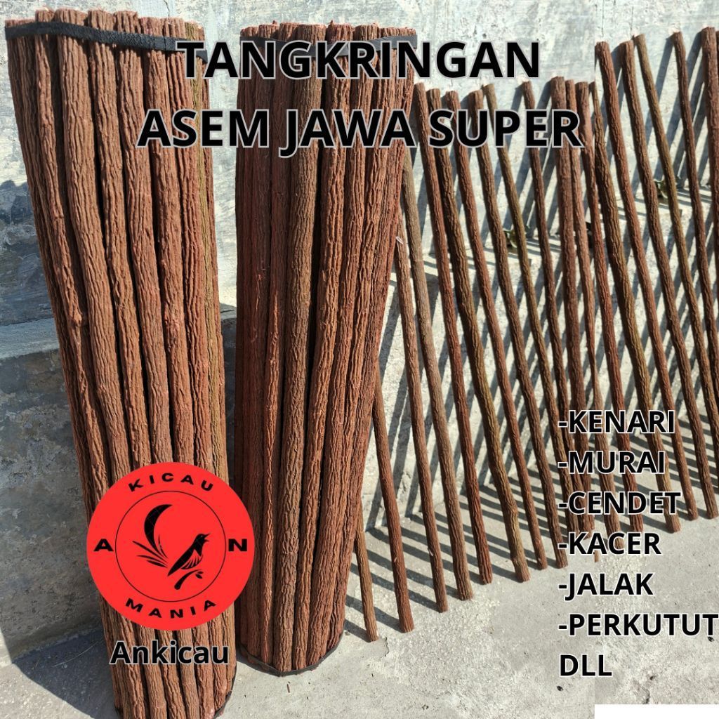 Tangkringan Asem Jawa Super ±63cm(Tetehan)Kenari Murai Kacer Jalak Perkutut dll