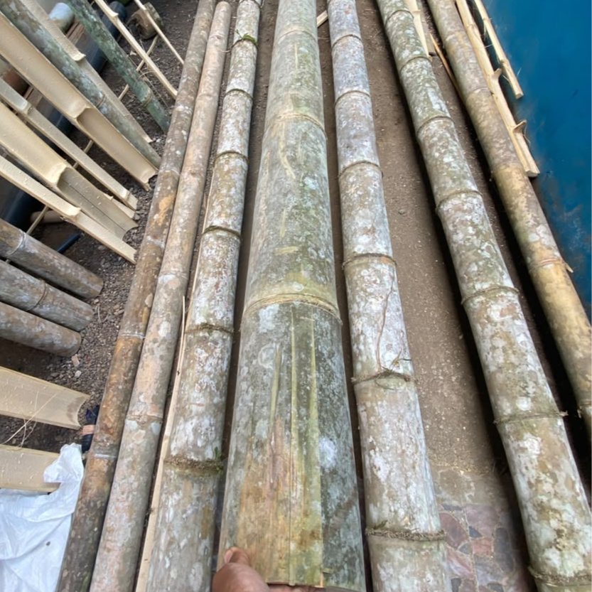 Bilah Bambu Petung GRADE SUPERR panjang 4M