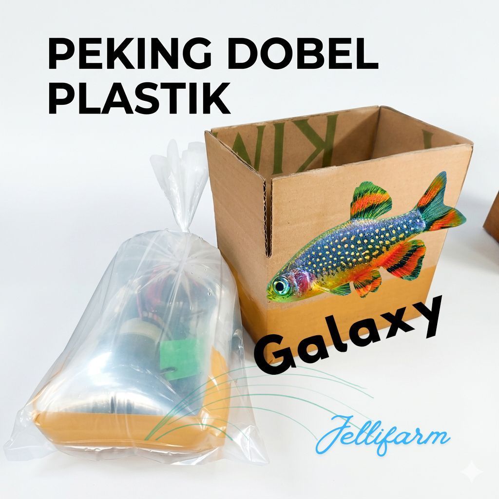 Koleksi Rasbora galaxy Aquascape