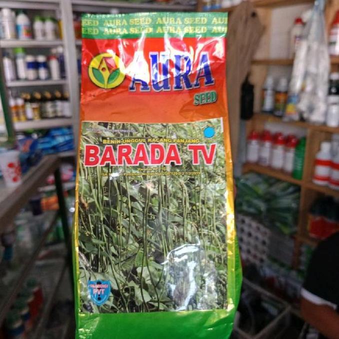 Benih Kacang Panjang Barada 500Gram,Benih Kacang Panjang Aura