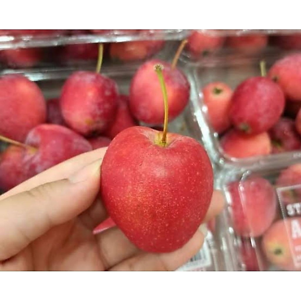 Apel Strawberry | Buah Apel Candy | Candy Apples | Apel Cherry