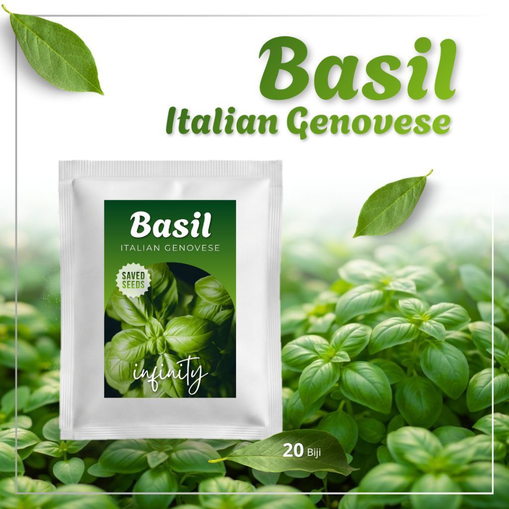 BENIH BIJI BASIL ITALIA SUPER PREMIUM | RED RUBIN ITALIAN GENOVESE DARK OPAL THAI BASIL | MUDAH TUMB