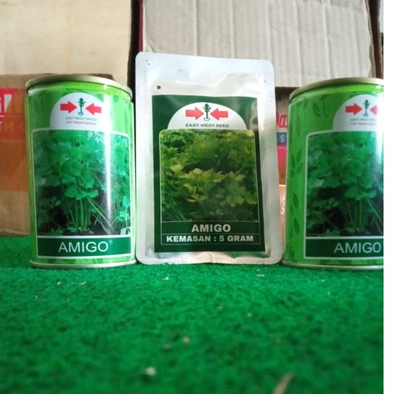 Benih Bibit Seledri Amigo 50 Gram Kemasan Kaleng Pabrik / Cocok untuk Tanaman
