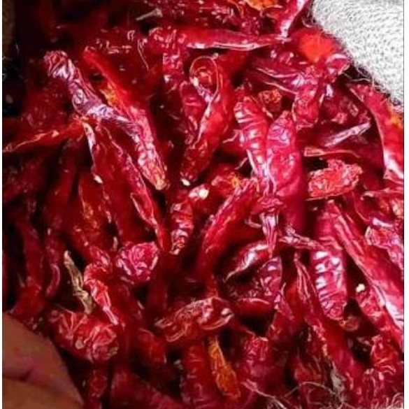 Cabe Rawit Kering Japlak 1kg