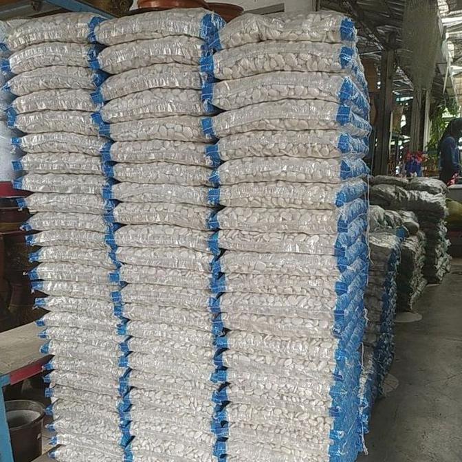 PREMIUM BATU HIAS KORAL PUTIH KUPANG KARUNG 12 KG/BATU TAMAN/BATU PUTIH Pot