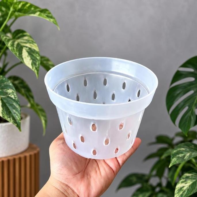 HEYYOUS Pot Bunga Anggrek POROS 15 Bening Transparan | Pot Tanaman Banyak Lubang | NKT POROS ANGGREK