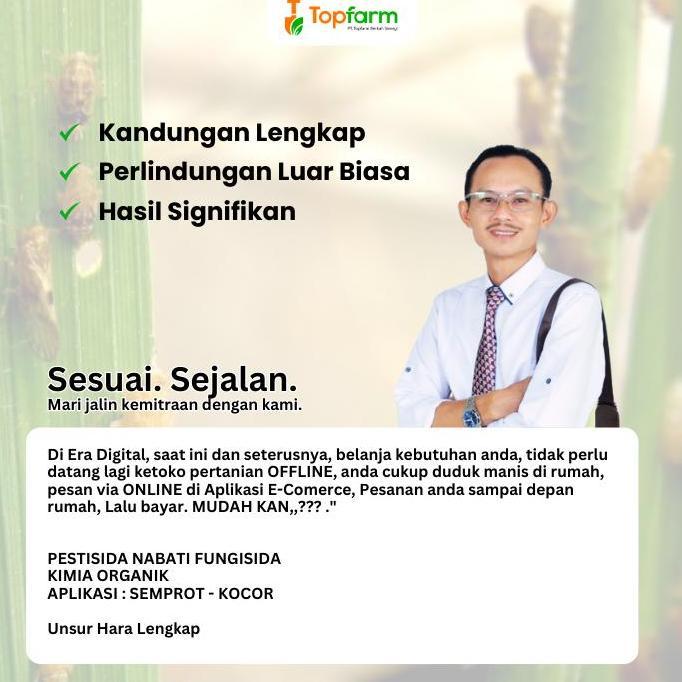 Yuhu- Obat Wereng Padi - Obat Wereng Paling Ampuh / Obat Hama Wereng / Obat Wereng Pada Tanaman Padi