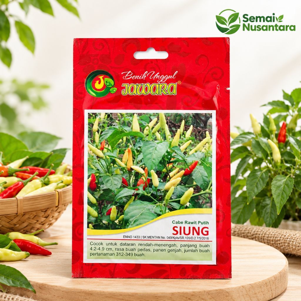 Benih Cabe Rawit Putih SIUNG | Bibit Unggul Cabe Rawit Putih | Benih Cabe Rawit Cap jawara | Benih C