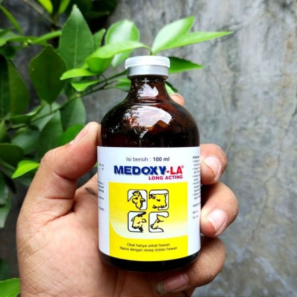 Medoxy LA Inject 100ml - Mengobati Masalah Pencernaan & Pernafasan Ayam Sapi Domba Kuda Sakit Snot N