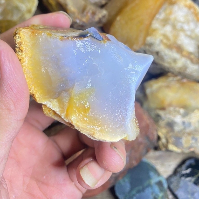 batu anggur putih / anggur susu