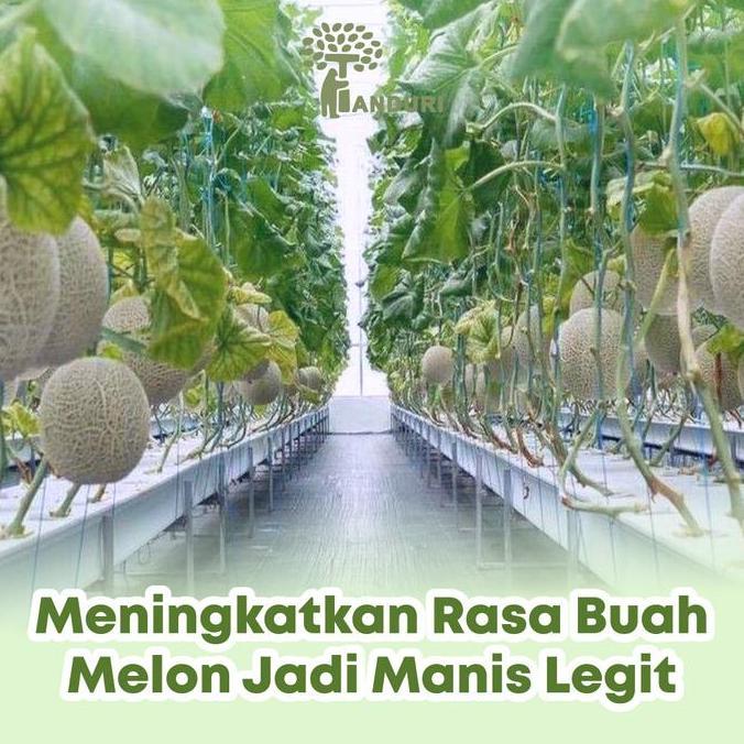 Promo TANDURI - Nutrisi AB Mix Buah Melon untuk 100 Liter, Pupuk Nutrisi AB Mix Serbuk untuk Konvens
