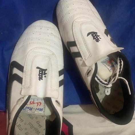 sepatu taekwondo