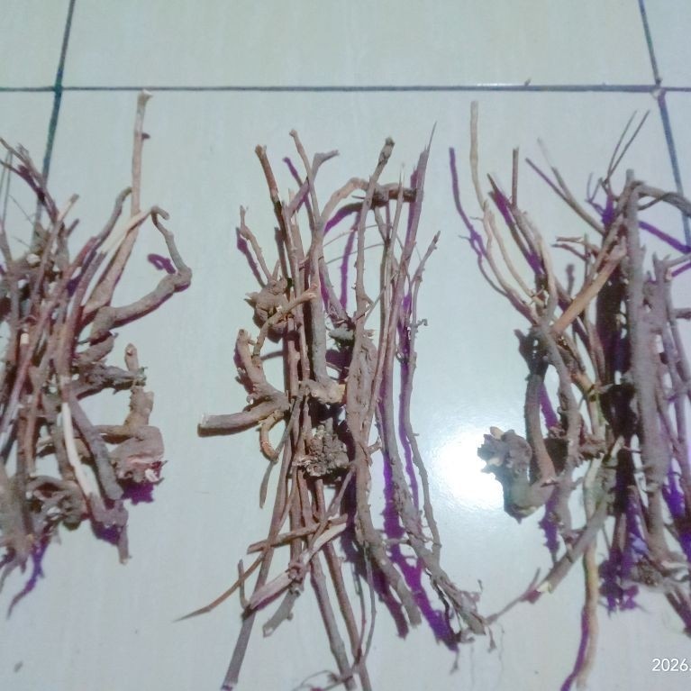 kayu opo opo