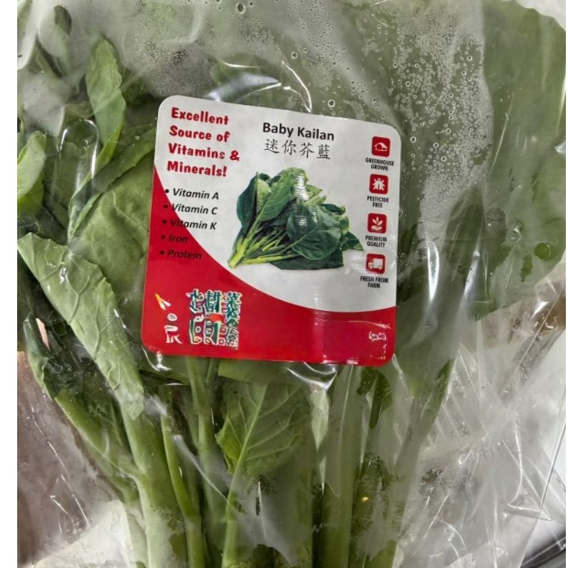 SAYUR BABY KAILAN. BABY KAILAN SEGAR. SAYUR KAILAN.