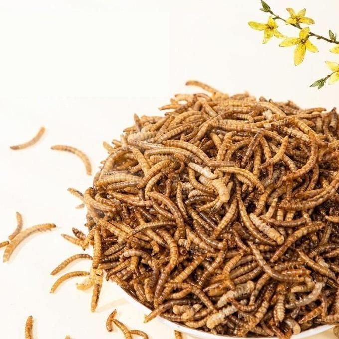 Vitapet Super Dried Dehydrated Mealworm Ulat Hongkong Kering 1Kg