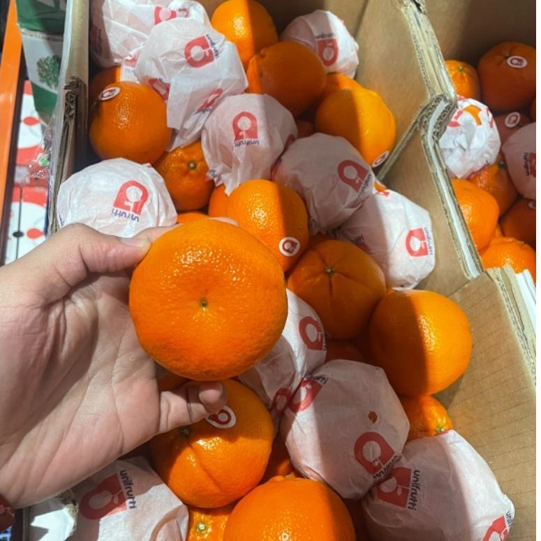 Jeruk MANDARIN AFRIKA  (Tanpa Biji) / Murcot / Wogan