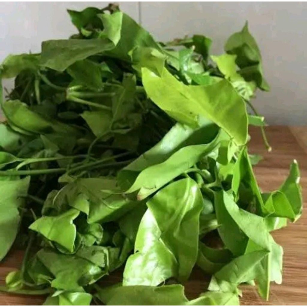 

daun tangkil daun melinjo segar (1kg)