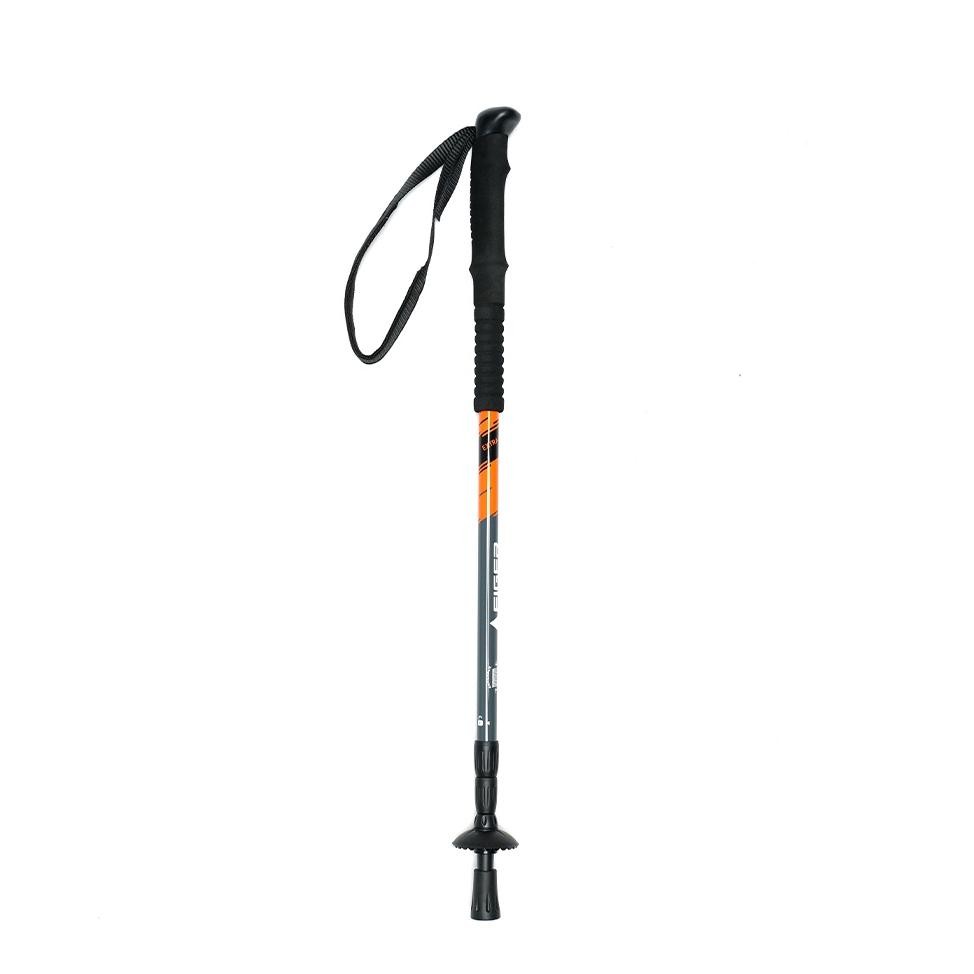 EIGER TRAIL ENDURO TREKKING POLE