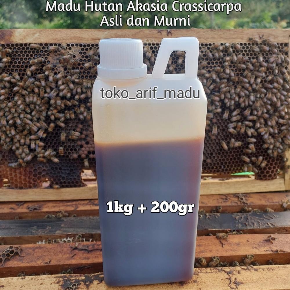 

(Terbaru) Madu Hutan Acasia Crassicarpa 1kg + 200gram (Madu Asli & Murni Akasia Carva) (Terlaris)