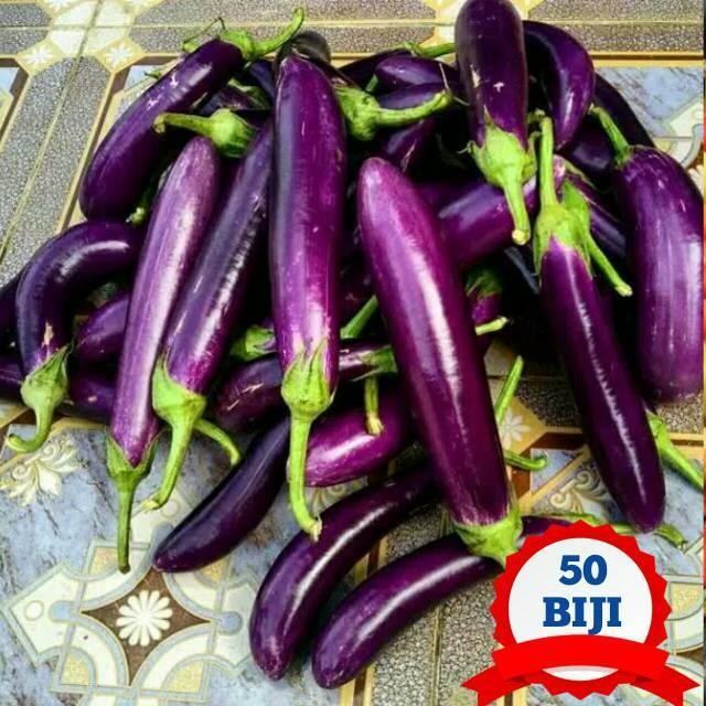 [Cod] - 50 Biji - Benih Terong Ungu Lezata F1 - Unggul Cap Panah Merah Bibit Sayur Sayuran Antaboga 