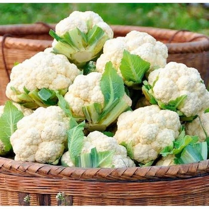 

Cod - 50 Biji - Benih Kembang Kol Bima 45 F1 - Bibit Sayuran - Benih Sayuran