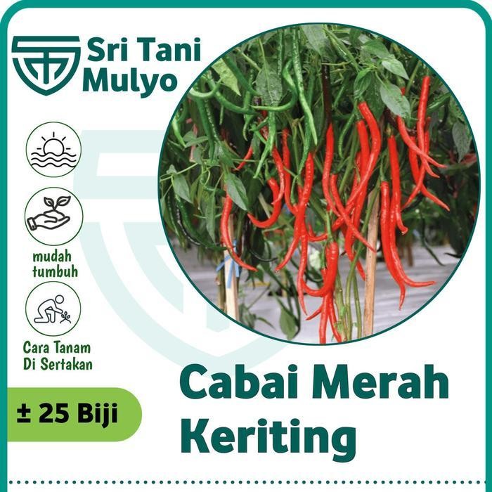Cod - 25 Biji - Benih Cabe Cabai Keriting Unggul -Galih F1 Bibit Unggul Tahan Penyakit Cabe/Cabai Kr