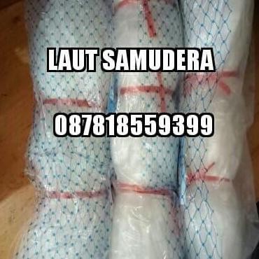 jaring ikan 1 inch 015 100/100 tate kep