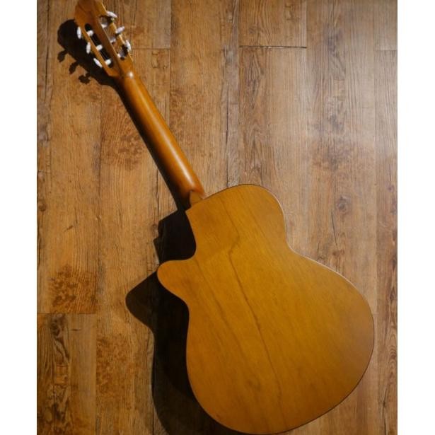 Gitar Akustik/Akustik Elektrik Nylon Jgs Gcc 02 Na