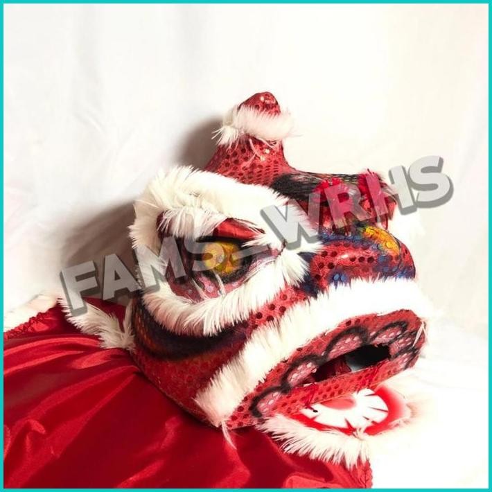 Barongsai Anak Dewasa Bahan Karton Tebal Kokoh Barongsai Kedip Kd 68