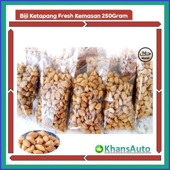 

BIJI KETAPANG FRESH KEMASAN 250 GRAM [ENAK & RECOMMENDED]