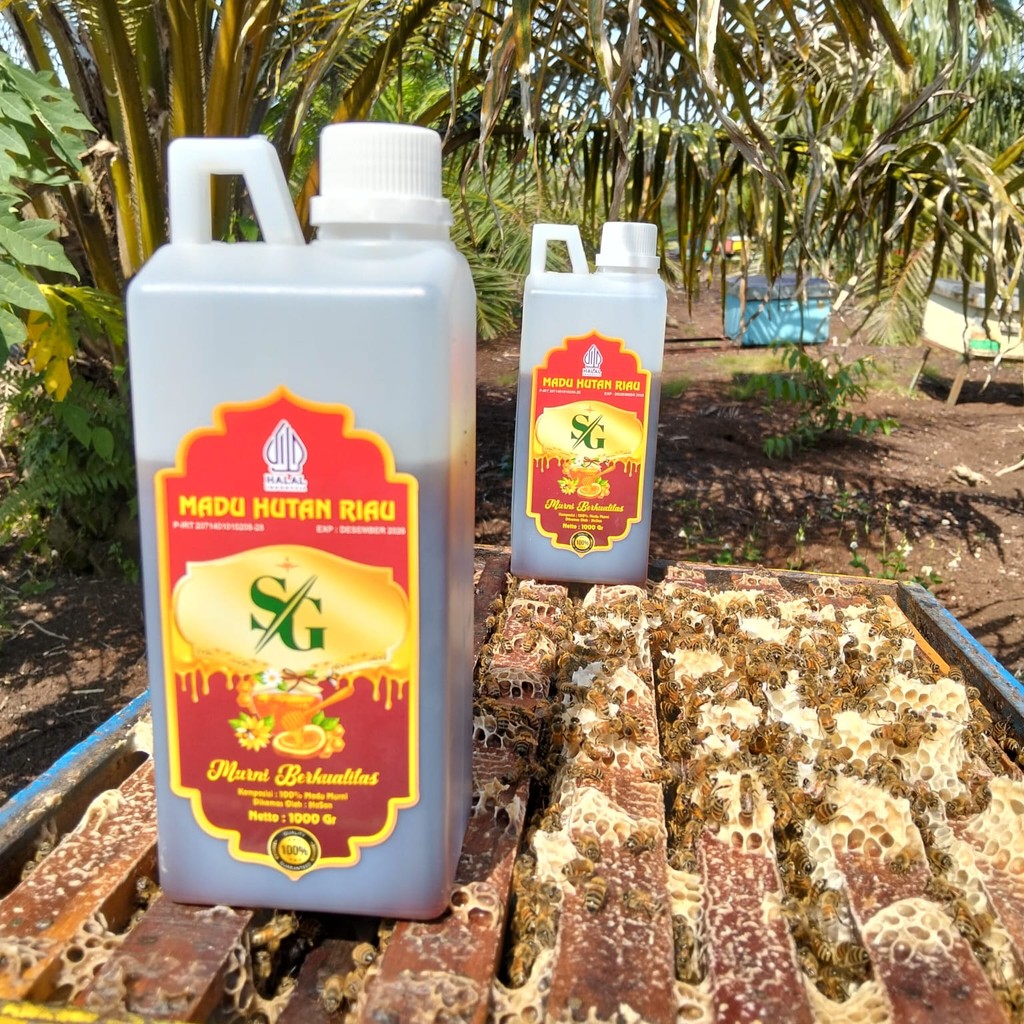 

Madu SG - Madu Murni Asli Nektar Akasia 1000gram Grade A 100% Alami Pure Raw Honey
