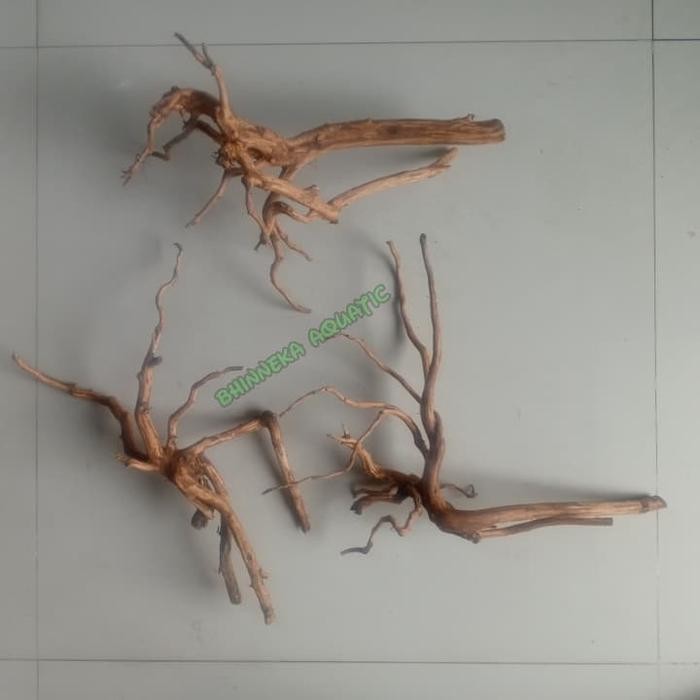 RAS Akar kayu Rasamala ukuran S Aquascape/Aquarium