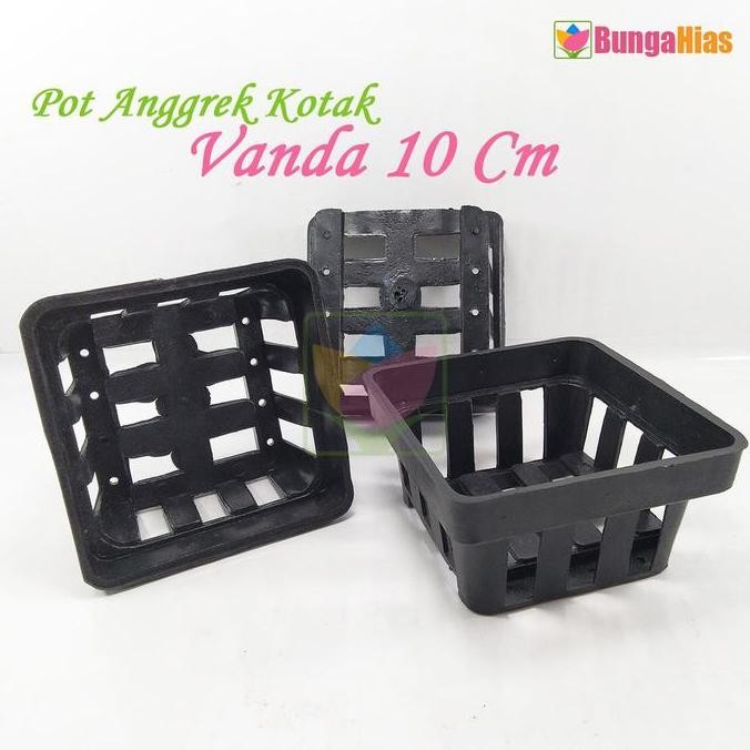1 Lusin Pot 10 Cm Anggrek Vanda Kotak Bulat Bibit Benih Tanaman Hias Bunga