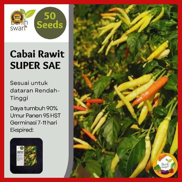 (Termurah) Isi 50 Butir Benih Cabai / Cabe Pedas Tahan Rontok Super Sae Bestseller