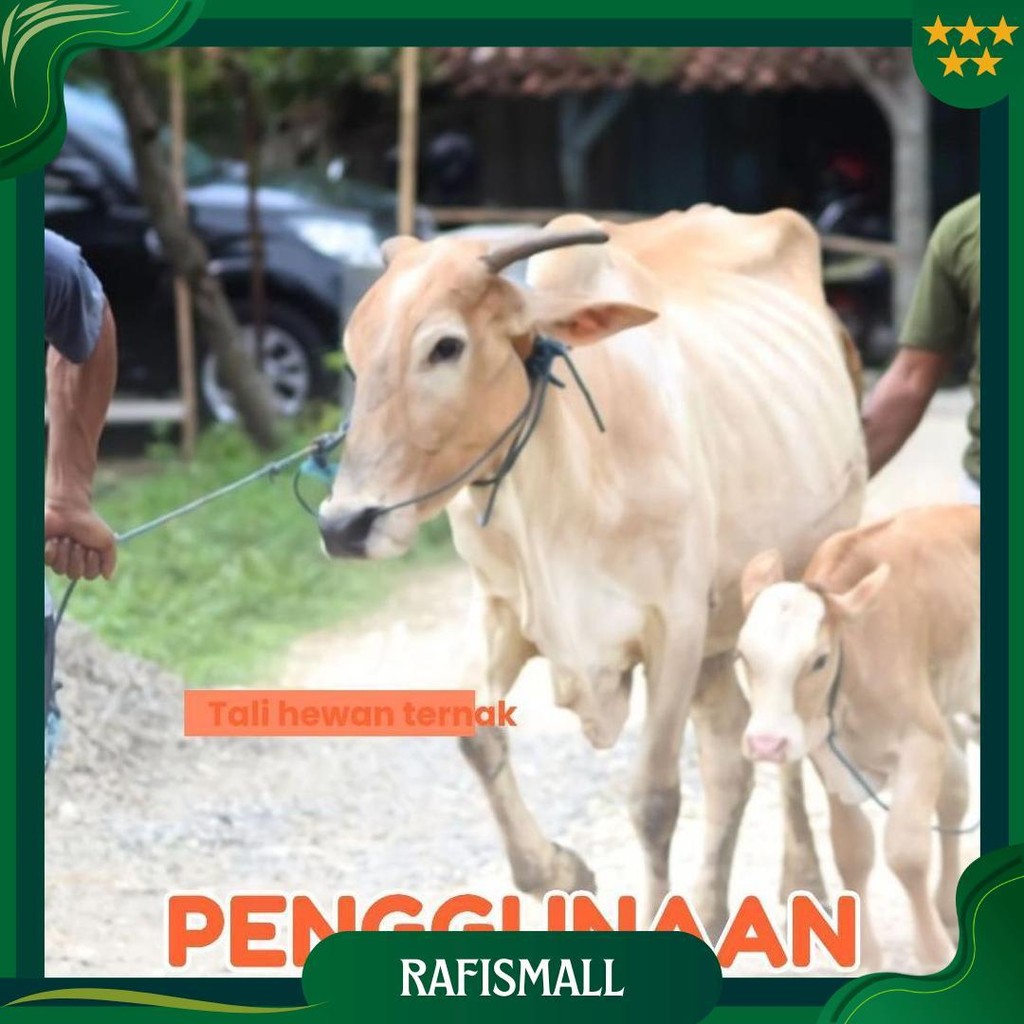 

Tali Tampar United Serbaguna Ukuran 2.5 Mm 1 Roll / Panjang 220 Meter Promo