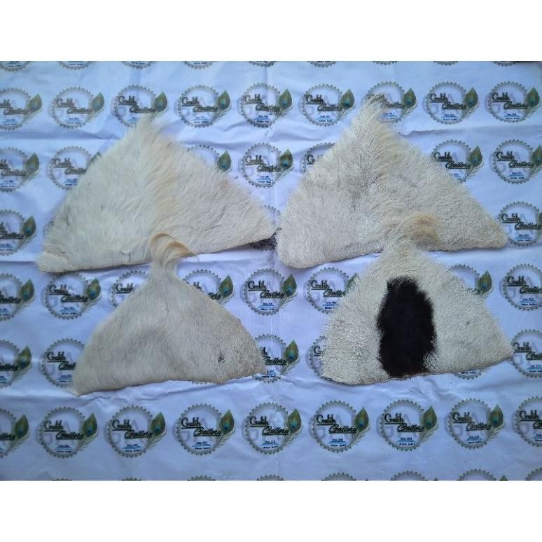 Kuke Simbar Barongan Simbar Jambul Simbar Bajang Dw-45