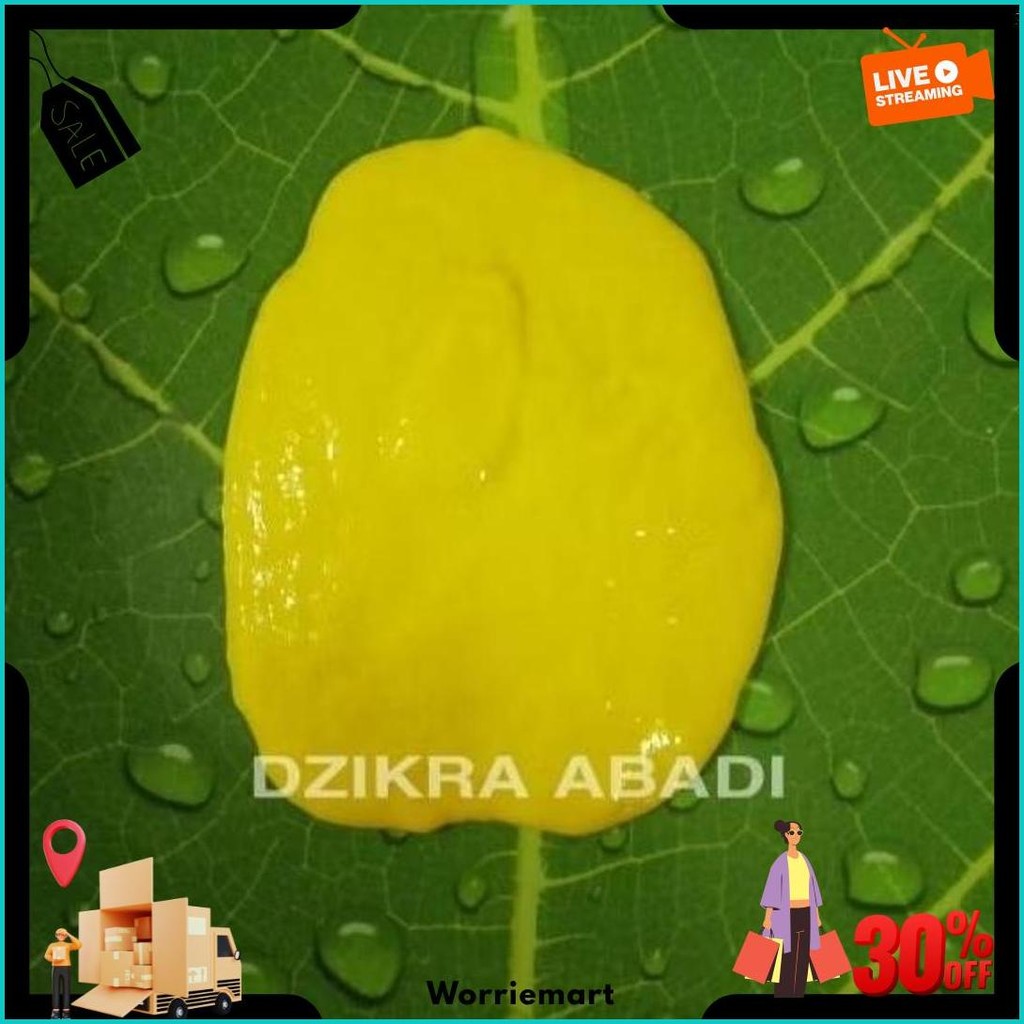 

Pewarna Makanan Bubuk Lemon Yellow 42081 Roha 100 Gr Original Produk