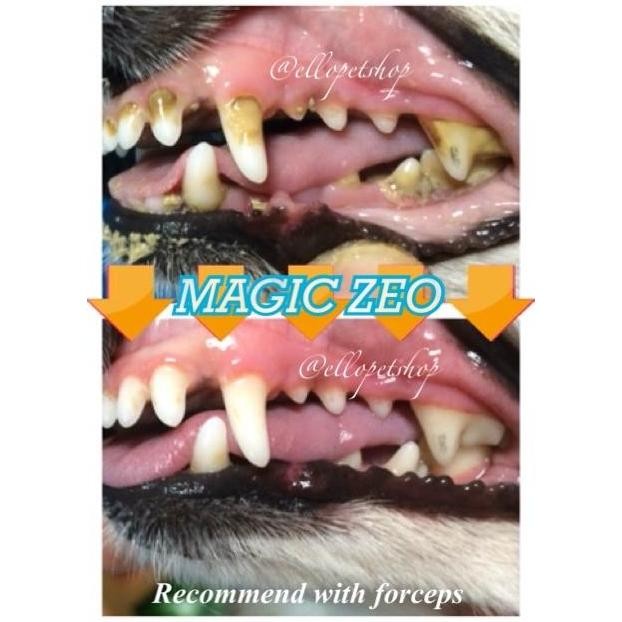 MAGIC ZEO JAPAN / SCALLING ANJING / PEMBERSIH KARANG GIGI ANJING CO