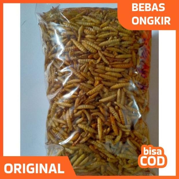 Manggot Bsf Manggot Kering Pakan Ikan Predator Louhan Channa Arwana 100gr