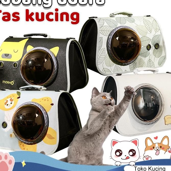 Kucingpet Carrier Bag Tas Peliharaan Tas Ransel Kucing Btravel Anjing Kucing Tas Peliharaan Tas Kama