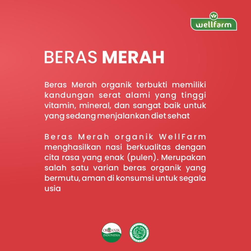 

Beras Merah Organik Kualitas Ekspor 2Kg - Wellfarm Beras Merah Wangi Organik Super